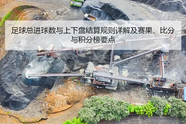 足球总进球数与上下盘结算规则详解及赛果、比分与积分榜要点（leyu）