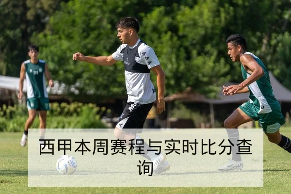 篮板率与攻防转换效率关键数据解读