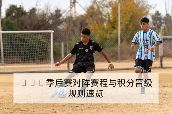 篮板率与攻防转换效率关键数据解读